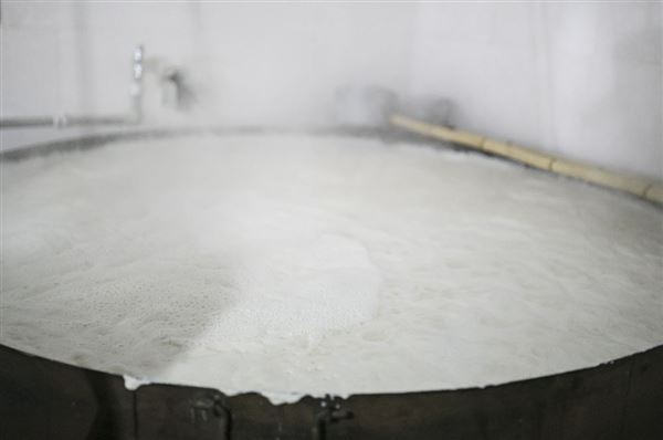 泡沫 泡沫