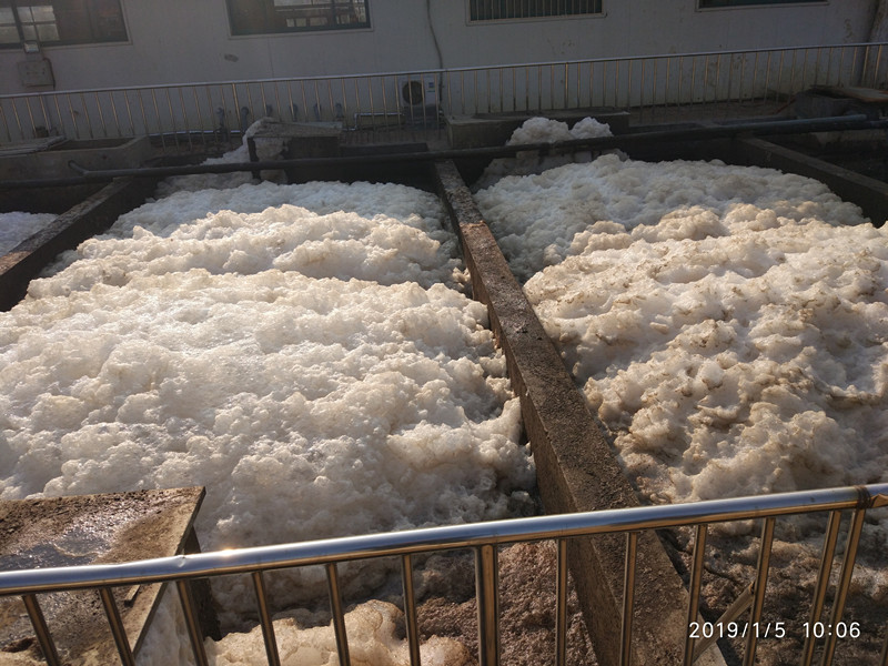 屠宰場(chǎng)污水泡沫 屠宰場(chǎng)污水泡沫