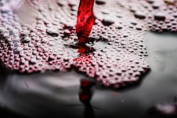 氣泡